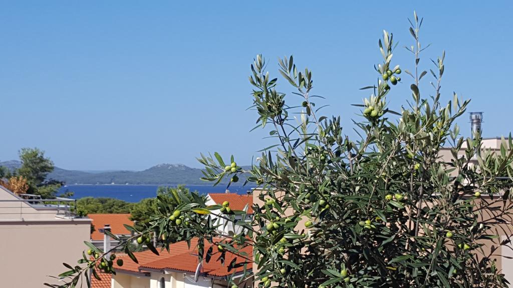 Apartment Garden Terrace Zadar Dış mekan fotoğraf